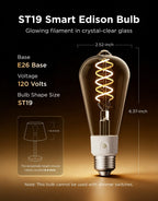 Govee ST19 Smart Edison Light Bulb
