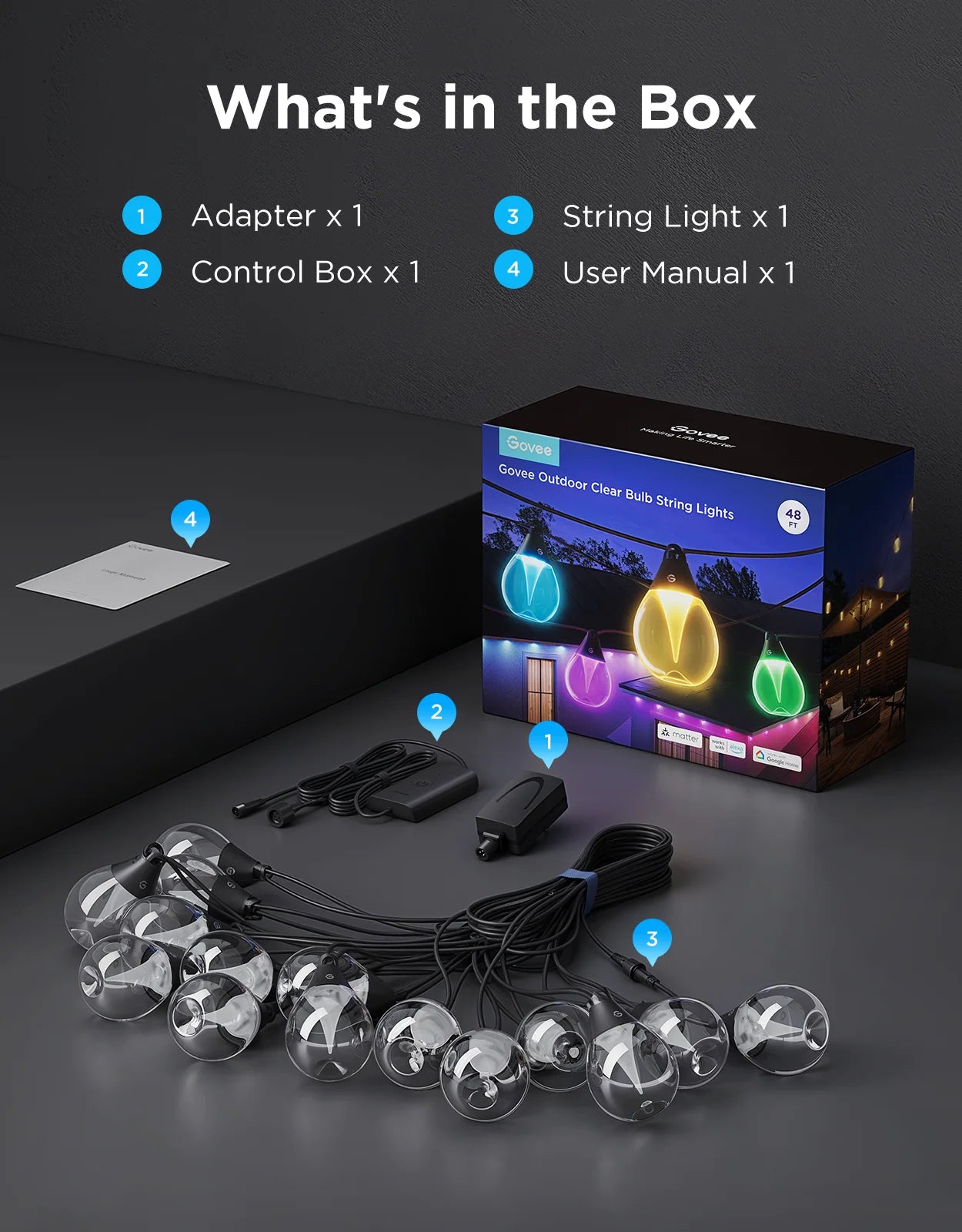 Govee Outdoor Clear Bulb String Lights