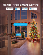 Govee Christmas Sparkle String Lights — 20 m