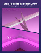 Govee Neon Rope Light for Wall Lining