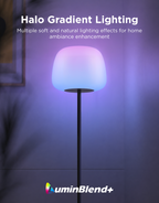 Govee Lantern Floor Lamp S