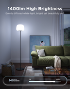 Govee Lantern Floor Lamp S