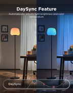 Govee Lantern Floor Lamp S