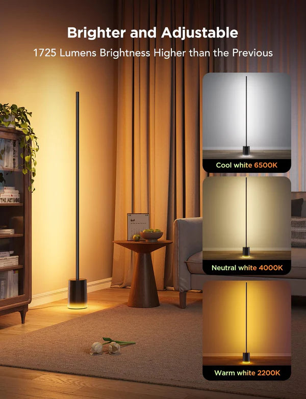 Govee Floor Lamp 2