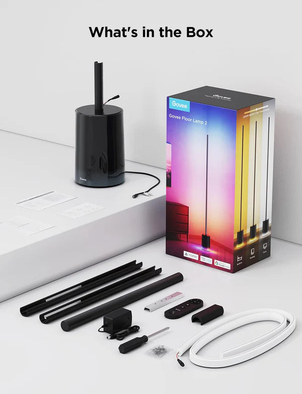 Govee Floor Lamp 2